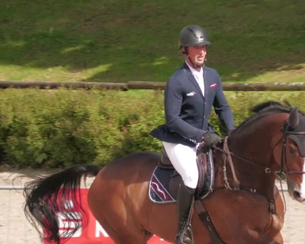 Reitturnier Tübingen 2022