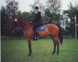 broodmare Gunja (Holsteiner, 1992, from Lucky Lionell)