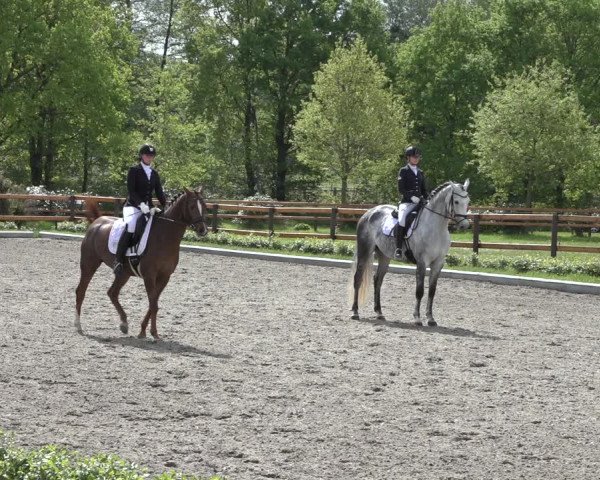 Reitturnier Schwanewede 2022