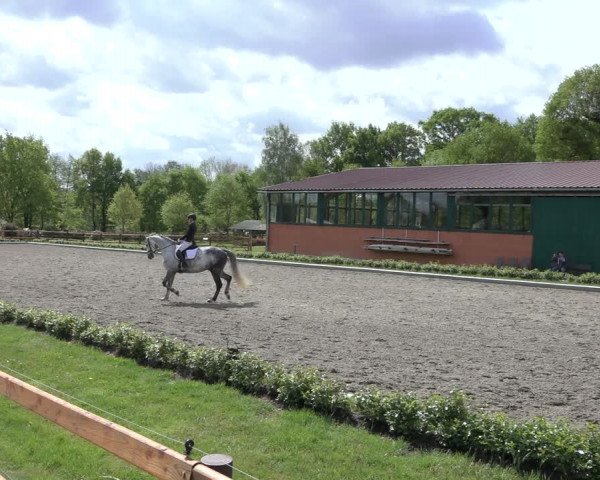 Reitturnier Schwanewede 2022