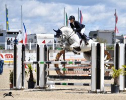 jumper Champ H 3 (German Sport Horse, 2015, from Chap II)