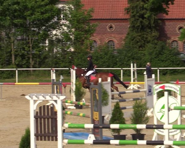 Reitturnier Ostenfelde-Vornholz 2022