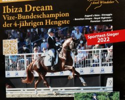 stallion Ibiza Dream (Rhinelander, 2017, from Asgard's Ibiza)