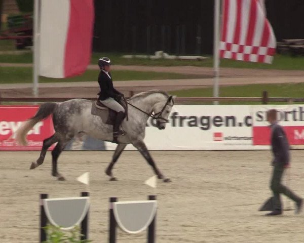 Reitturnier Westergellersen 2022