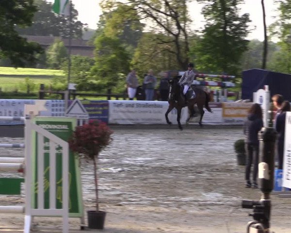 Reitturnier Rhede 2022