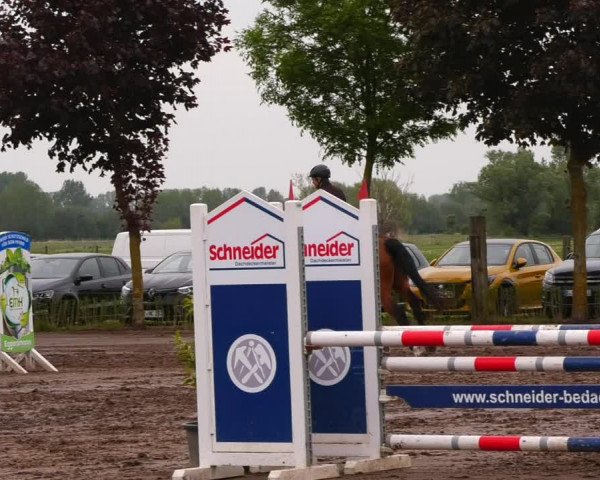 Reitturnier Lentzke - Reitanlage Krehl 2022