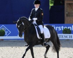 stallion Kennedy WE (German Riding Pony, 1997, from Kaiserjaeger xx)