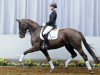 dressage horse Fantastica (Westphalian, 2009, from Fürst Romancier)