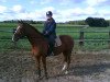 dressage horse Legolas E (Hanoverian, 2001, from Londonderry)