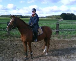 dressage horse Legolas E (Hanoverian, 2001, from Londonderry)