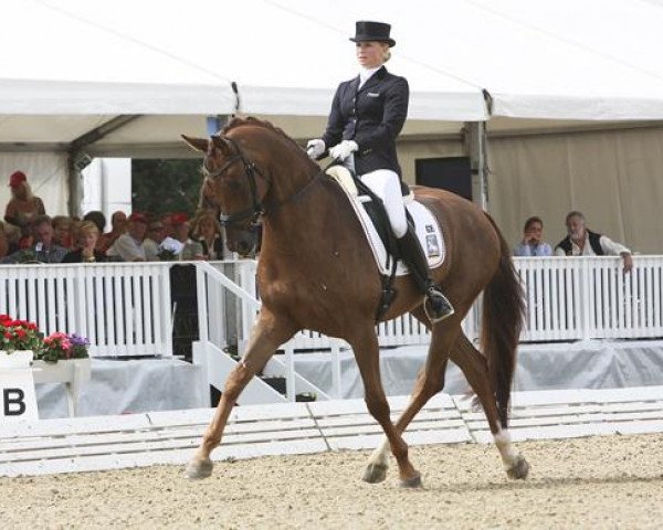 dressage horse Redford 51 (Hanoverian, 2004, from Rosentau)