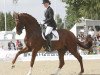 broodmare Rebelle 5 (Oldenburg, 2004, from Don Schufro)