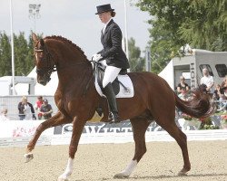 broodmare Rebelle 5 (Oldenburg, 2004, from Don Schufro)