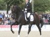 stallion Zhivago (KWPN (Royal Dutch Sporthorse), 2004, from Krack C)