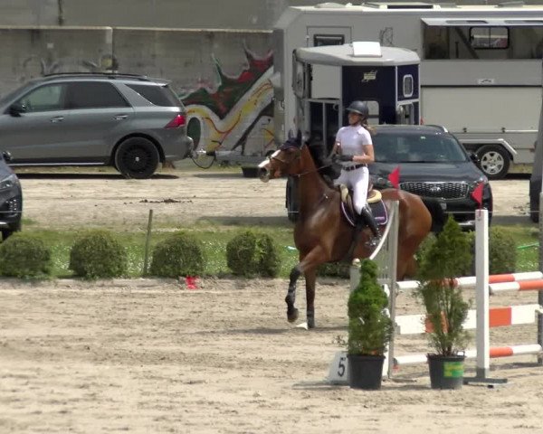 Reitturnier Basel Schänzli 2022