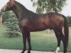 stallion Damnatz II (Hanoverian, 1984, from Darling)