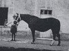 broodmare Riquette AN (Anglo-Norman, 1939, from Italien AN)