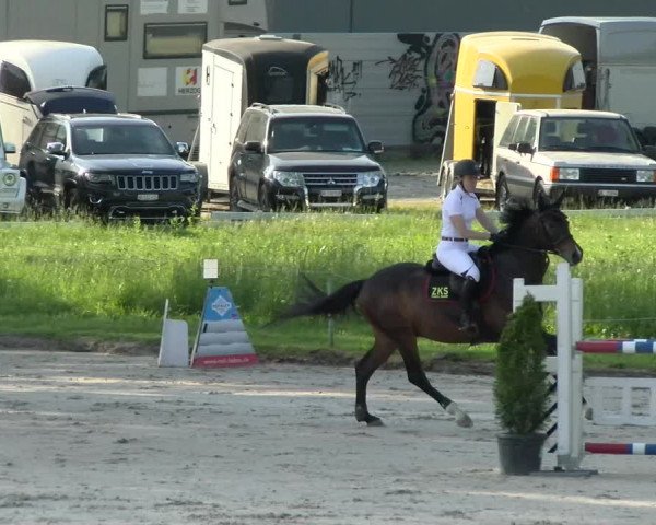 Reitturnier Basel Schänzli 2022
