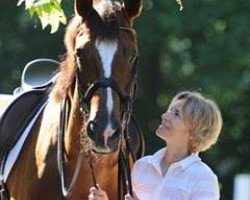 dressage horse Girasol 7 (Württemberger, 2001, from Gribaldi)