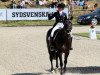 dressage horse Fleetwood (Westphalian, 1999, from Florestan I)