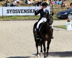 dressage horse Fleetwood (Westphalian, 1999, from Florestan I)