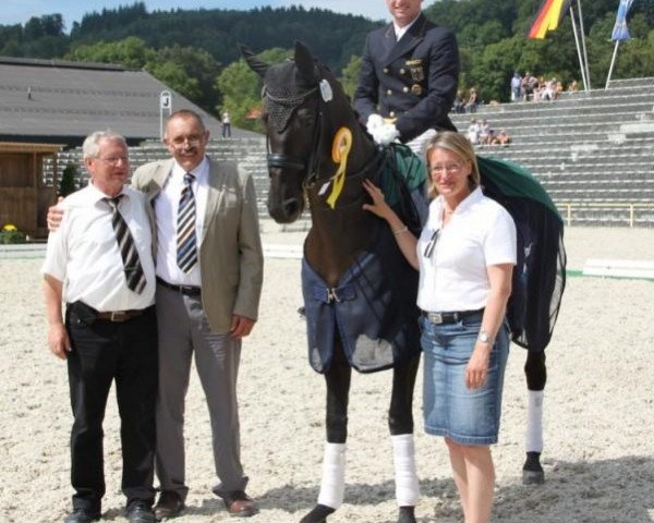 Pferd Roche 9 (Württemberger, 2000, von Rubicell)