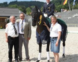 dressage horse Roche 9 (Württemberger, 2000, from Rubicell)