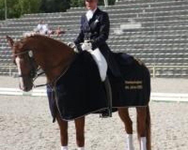 dressage horse Weneziano 3 (Hanoverian, 2000, from Wolkenstein II)