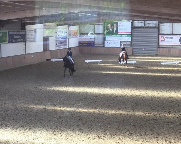 Reitturnier Rhede 2022