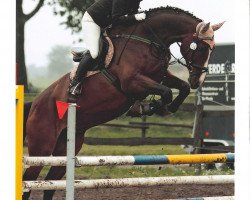 dressage horse Cynid B (Hanoverian, 2002, from Charon)