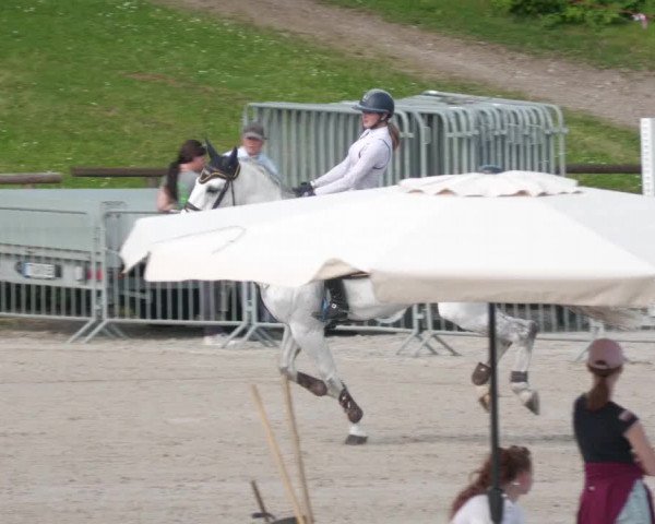 Reitturnier Tübingen 2022