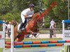 jumper Natador (German Riding Pony, 1997, from Top Nonstop)