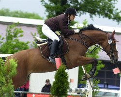 broodmare Quarina de Toulouse (Westphalian, 2002, from Quo Vados I)