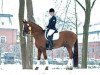 dressage horse Alesi (Oldenburg, 1995, from Andiamo)