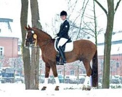 dressage horse Alesi (Oldenburg, 1995, from Andiamo)