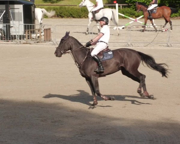 Reitturnier Tübingen 2022
