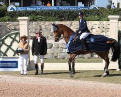 jumper Zerly (KWPN (Royal Dutch Sporthorse), 2004, from Querlybet Hero)