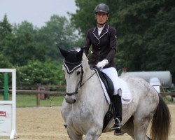 dressage horse Daddy`s Darling (Westphalian, 2009, from Desperados FRH)