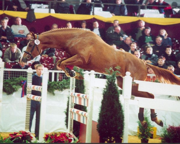horse Balu 260 (Oldenburg, 1999, from Suchard)