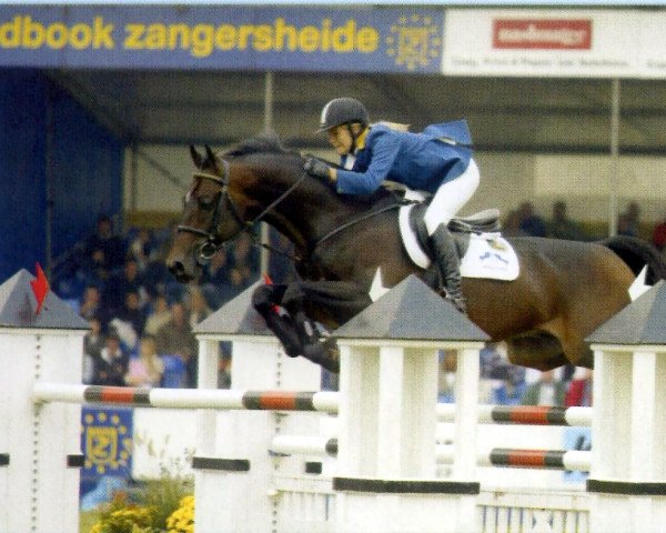 stallion Balisto (Trakehner, 1993, from Suchard)