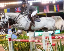 jumper Malou 60 (Swedish Warmblood, 2004, from Maloubet de Pleville)