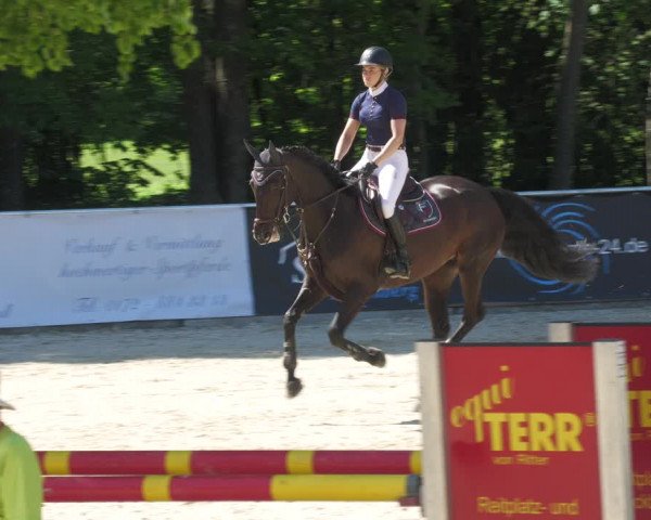 Reitturnier Karlsfeld/Obb. 2022