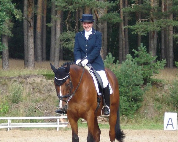 dressage horse Lauries Lillebror (Hanoverian, 2003, from Lauries Crusador xx)