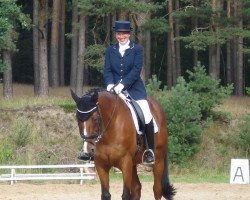 dressage horse Lauries Lillebror (Hanoverian, 2003, from Lauries Crusador xx)