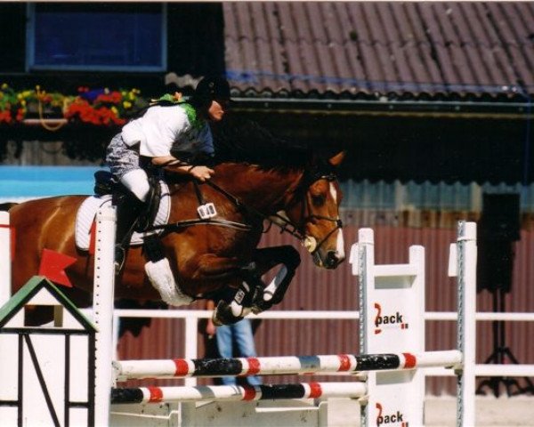 horse Desiree-Silvana (Hessian Warmblood, 1992, from Damnatz II)