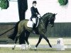 dressage horse Robby 243 (Westphalian, 2003, from Rockwell)