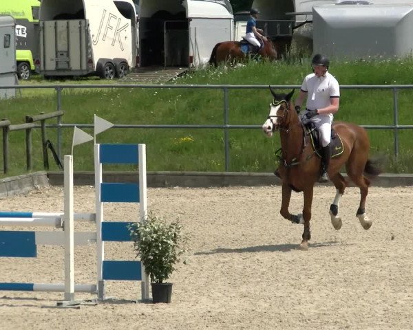 Reitturnier Werdenberg 2022