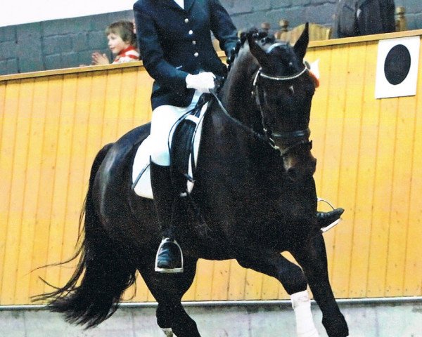 dressage horse Lord Lancaster 7 (Westphalian, 2002, from Laomedon)