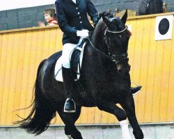 dressage horse Lord Lancaster 7 (Westphalian, 2002, from Laomedon)