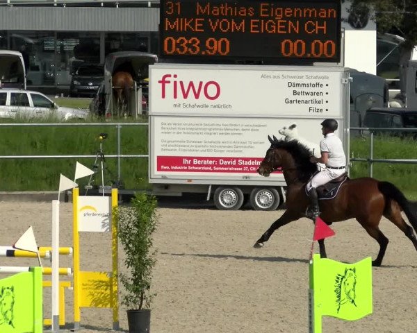 Reitturnier Werdenberg 2022